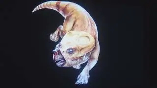 Dolores The Aquilops With Sarah Anne Williams Voice