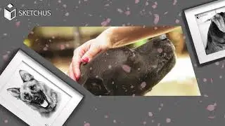 DOG PORTRAITS - Tierportrait bei Tu Ho