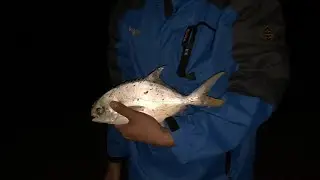 Late Pompano Fishing on New Smyrna Beach