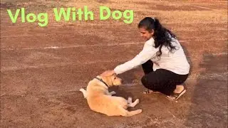 Morning walk| Daily Routine| Vlog with Dog🐕 #prettyashuvlogs