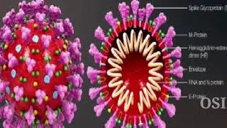 Coronavirus disease 2019 | COVID-19 | Signs and symptoms | Prevention | Online Super Information