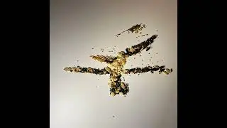 seeds  - official music video