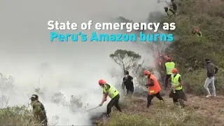 State of emergency as Peru's Amazon burns