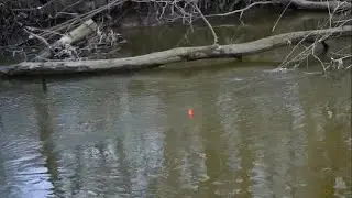 INSANE STEELHEAD BOBBER DOWNS IN TINY CREEK - Spring Steelhead Fishing 2022