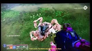 SO MANY SCREEBS!!! Destiny 2 (episode 12)