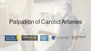 Palpation of Carotid Arteries