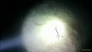 Grotta del Bel Torrente 5 Dicembre 2024