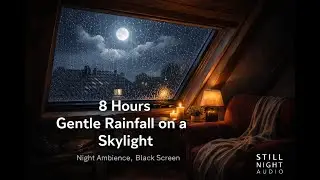 8 Hours Gentle Rainfall on a Skylight &ndash; Night Ambience, Black Screen | Still Night Audio