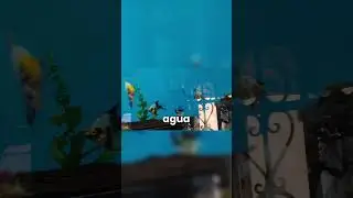 MIRA LOS PARAMETROS DE TU ACUARIO #ralfishacuarismo #pecera #peces