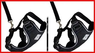 RC Pet Products Primary Collection Adventure Kitty Harness