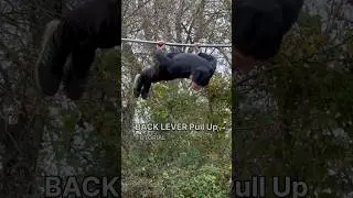 Back Lever Pull up Tutorial