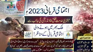 Ijtimai Qurbani 2023 Ubqari Khidmat Khalq Foundation Ki Janab Se Ijtimai Qurbani Ke Manazar