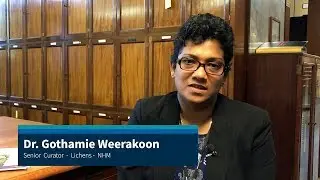 Dr. Gothamie Weerakoon - Her inspiring journey