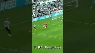 What a goal from Callum Wilson!! ⚫️⚪️ || Newcastle Highlights