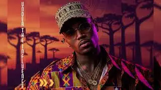 Chris Brown - Under The Influence  (Afro Soul Version Cover )