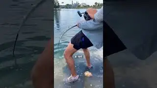 He was waiting to catch someone 🐊