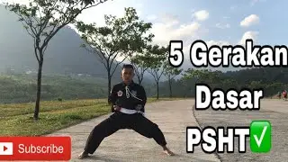 5 Gerakan Dasar PSHT yang Baik Dan Benar✅‼️