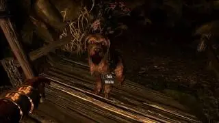 The Adventures of Soft Paws the Craven.  Stream #89
