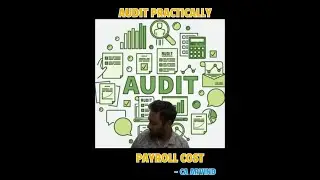 Payroll FSLI - Part 2 - Audit Practically Series