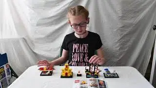 Review of 60 years set  40290 and peak at set 6075 Yellow Castle