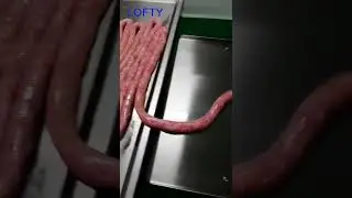 ZX-I  Automatic Sausage Linker  #saucefillingmachine  #machine
