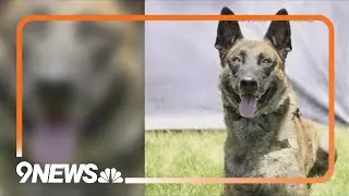 Adams County K-9 to receive armor donation