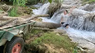 Agricultural vehicle transporting timber, pulling timber, almost crashed into a dangerous place.