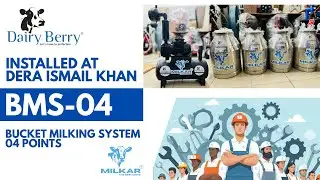 Allahamdulliah One More Bucket Milking System - 04 Points Installed At Dera Ismail Khan