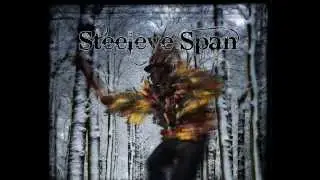 Steeleye Span - The Wee Free Men (2013)