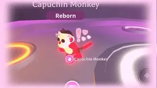 making neon capuchin monkey! ^.^ (adopt me)