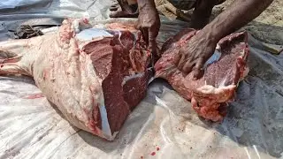 Fresh Huge Size Beef Cutting | Expert Butcher Cutting Meat | Amazing Skills