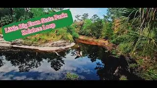 🌲 Embark on a Virtual Hike Through the Kolokee Loop in Florida 🥾
