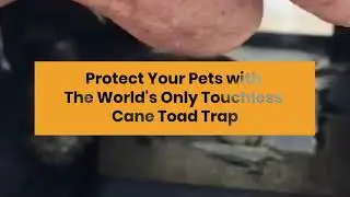 Cane Catcher Inc - the world's only touchless cane toad trap.