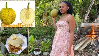 How to roast breadfruit the traditional Jamaican way #food  #love #mustwatch #cookinghacks #explore 