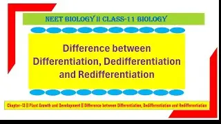 Differentiation Dedifferentiation And Redifferentiation |Plant Growth And Development |NEET/AIIMS