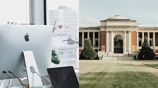 Design School vs. Industry Experience (What's Right for You?)