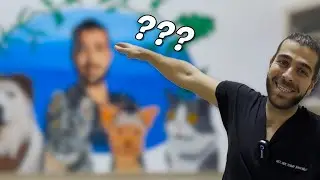 ВЫГЛЯДИТ ТАК ХОРОШО! (Наша новая картина на стене!)