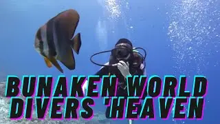 DIVERS 'HEAVEN OF SULAWESI ISLAND BUNAKEN DIVERS, INDONESIA