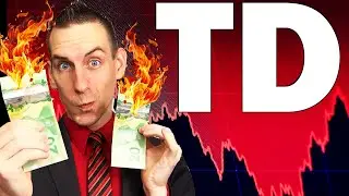 TD Stock Still A Buy | Canadian Bank Stocks Drop On Earnings
