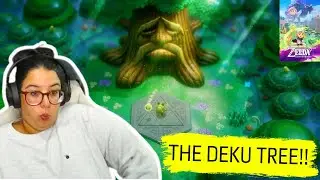 We FOUND the DEKU TREE!!!
