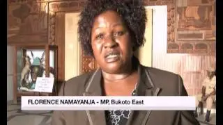 Two MPs to answer for chronic absence from parliament