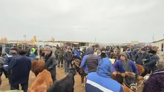 БЕРУНИЙ УЖАК БОЗОРИ 2 КИСМ 18.01.2026