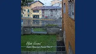 Bird Bathe in Rain