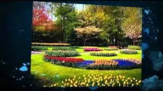 Knoxville Tennessee Landscaping designers backyard tips