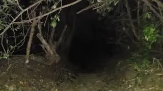 Sonidos Muy Extraños Captados en este Video Algo sin Explicación 