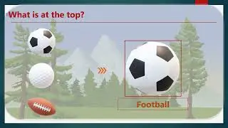 Positions Top, Middle and Bottom  For Kindergarten Kids |Preschool Concepts