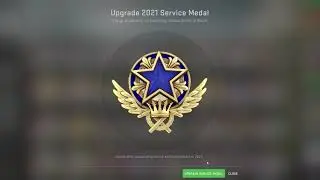 Blue Medal 2021 in CSGO