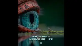 Mirror World - Mirror of Life - Official