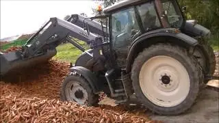 Marchew 2013_wyw&oacute;z i zbi&oacute;r - Valtra / Ursus / John Deere //HD//