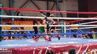 Pelea Amateur Alejandro 